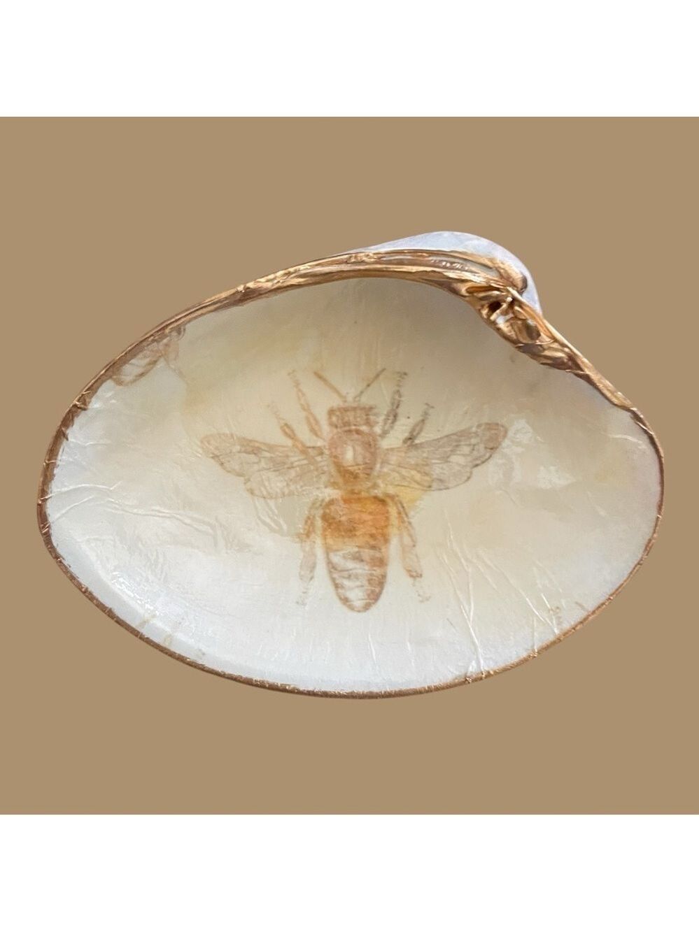 Decoupage Clam Shell, Bee Design by Bead Studio + Designs, Gold Trim.